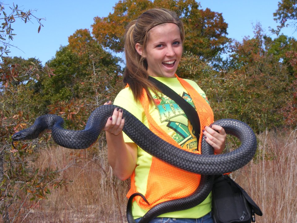 Biologists Release 25 Threatened Eastern Indigo Snakes in Alabama