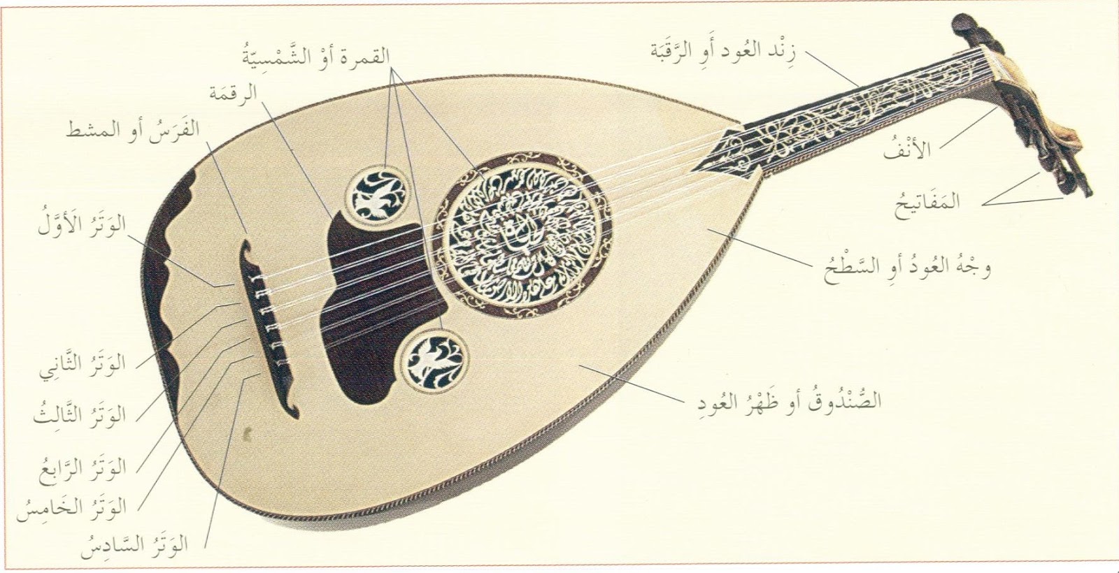 الات موسيقية وترية واسمائها