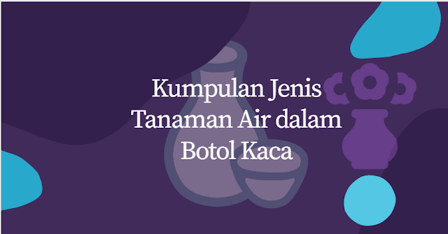 tanaman dalam botol kaca