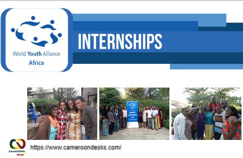 World Youth Alliance Internship Programme  2021