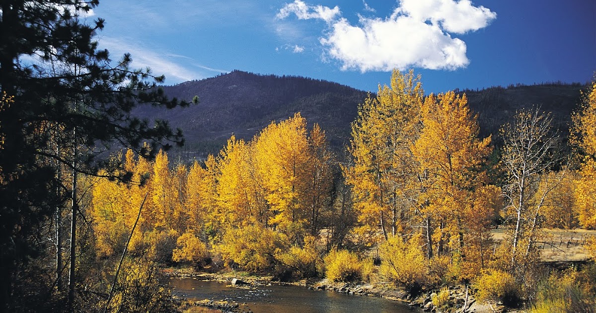 Sprinkler Master Repair Panther Valley, NV (775) 3870519