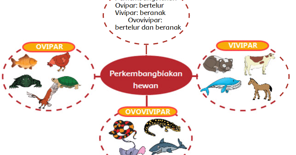 Peta Pikiran Perkembangbiakan Ovipar, Vivipar dan
