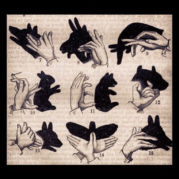 Meniru bentuk hewan dengan jari tangan Rifqi Kaligrafi