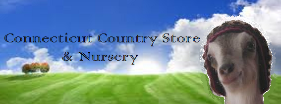 Come visit us at the Connecticut Country Store!