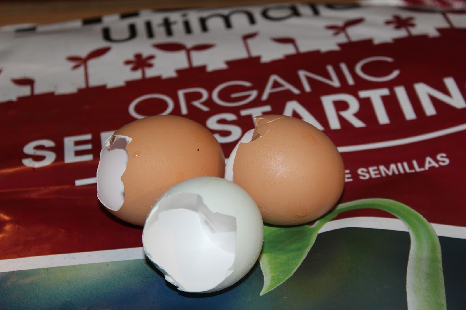 Nourished Soul Guru Recycled Egg Shells For Calcium Rich Soil