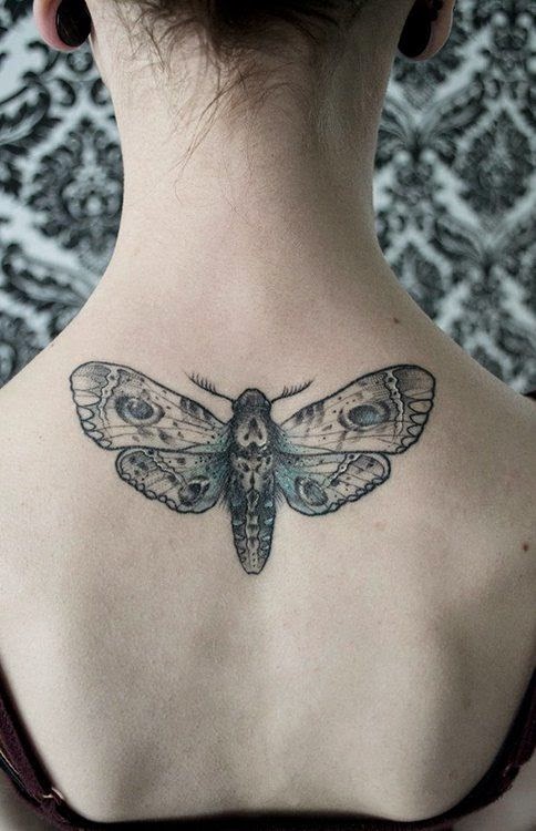 Las misteriosas polillas en los tatuajes - Belagoria | la web de los