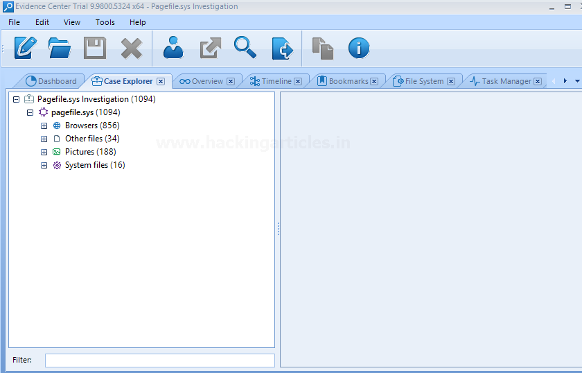 Forensic Investigation of Pagefile.sys