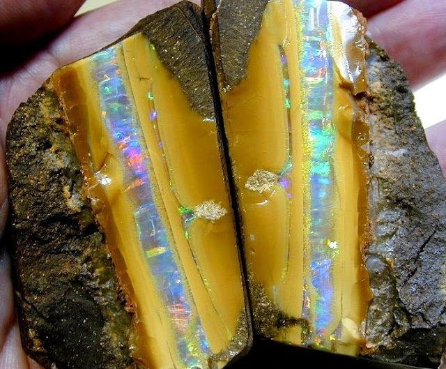 The opal is the National Gemstone of Australia. Australia currently produces approximately 95 per cent of the world’s precious opal and probably has almost all of the world’s opal reserves.