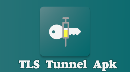tls tunnel 2021 tls tunnel 2021