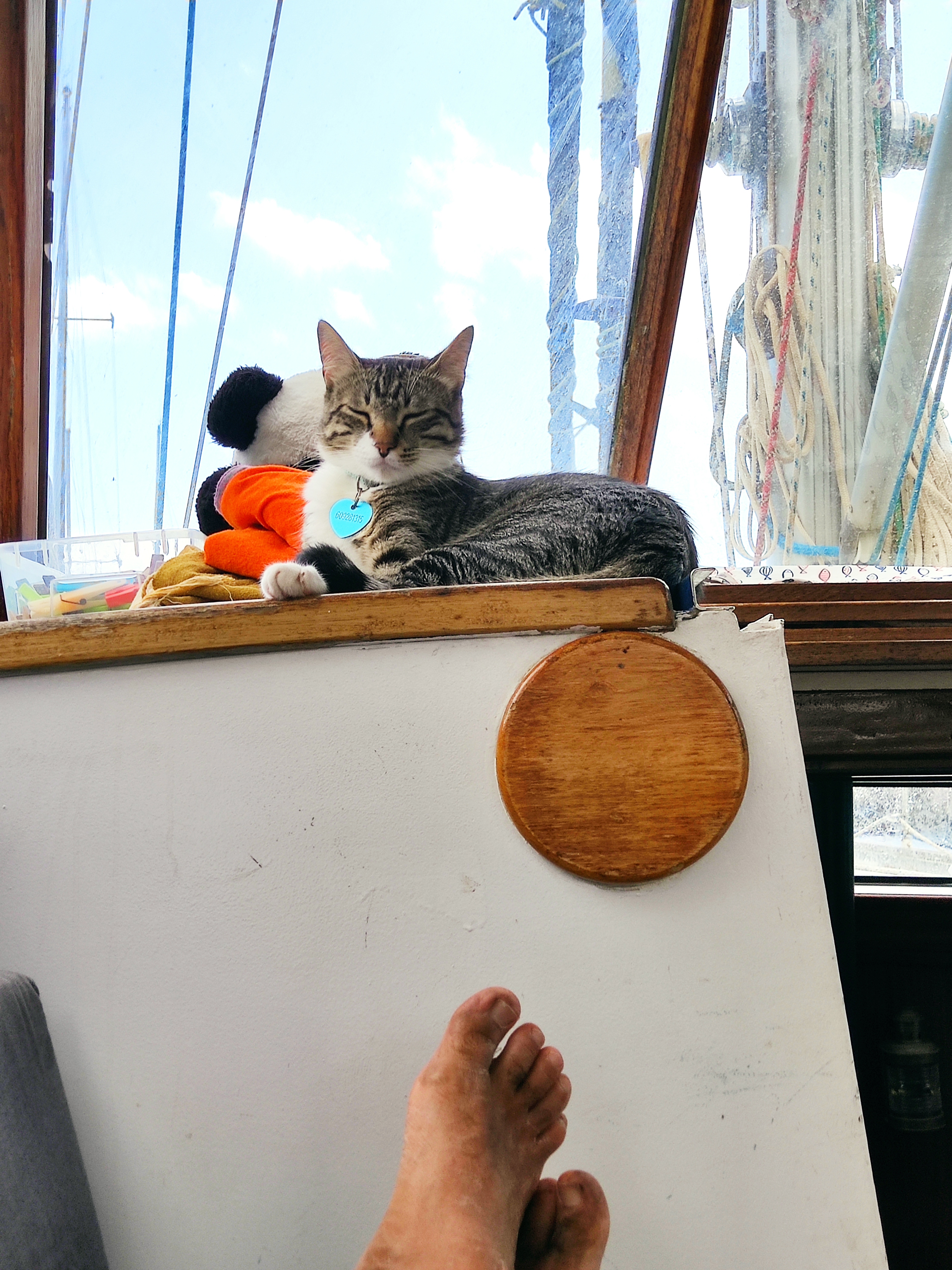 [Imagen: IMG_20210713_164630.jpg]