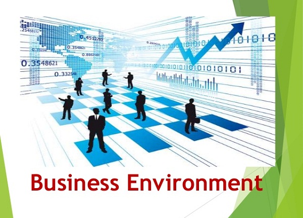 Business Environment Definition