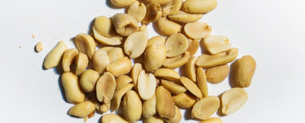 FDA approval for peanut allergy treatment
