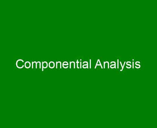 Componential Analysis Componential Analysis