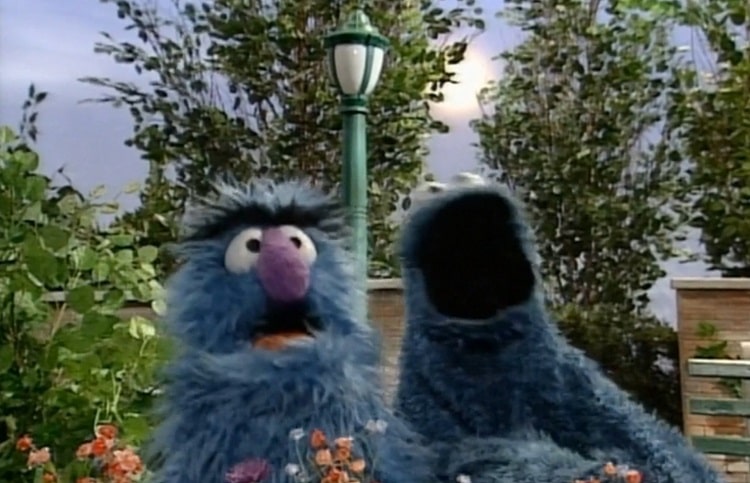 Sesame Street C Is For Cookie #2 With Cookie Monster Sesame Street C is for Cookie Monster