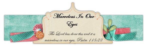 Marvelous in Our Eyes