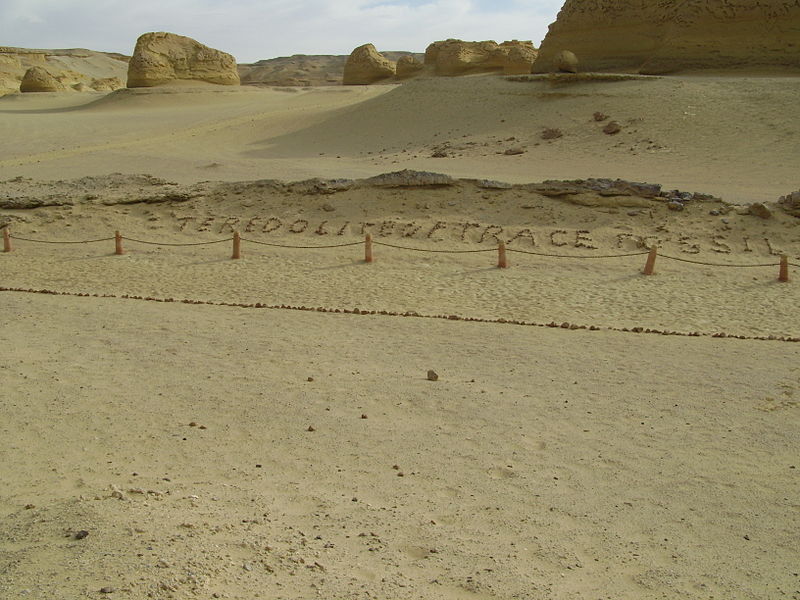 وادي الحيتان - حياة بحرية في قلب الصحراء