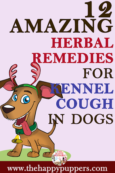 Use herbal remedies to treat kennel cough in dogs