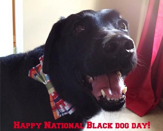 National Black Dog Day Wishes Images
