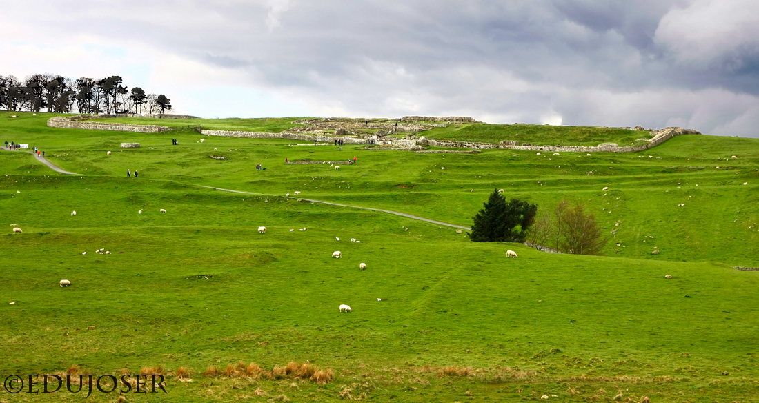 EDUJOSER FUERTE ROMANO DE HOUSESTEADS (Reino Unido)