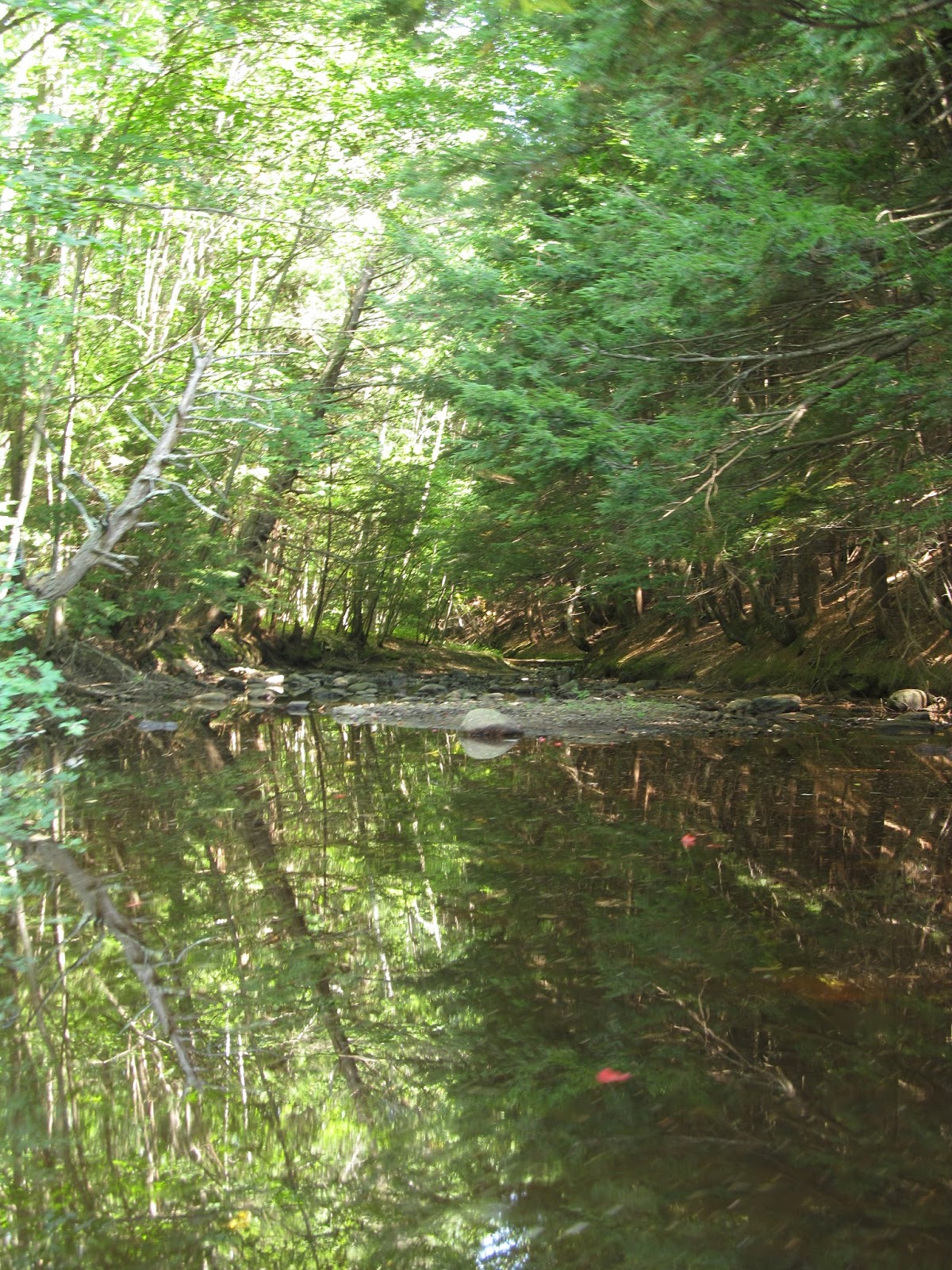 Recreational Kayaking in Maine Salmon Falls River, South Berwick