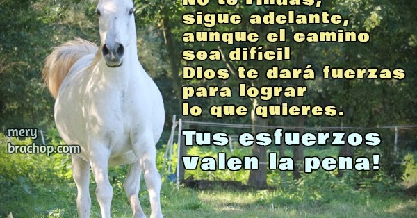 15 Frases De Motivacion Para Fomentar La Inteligencia Emocional