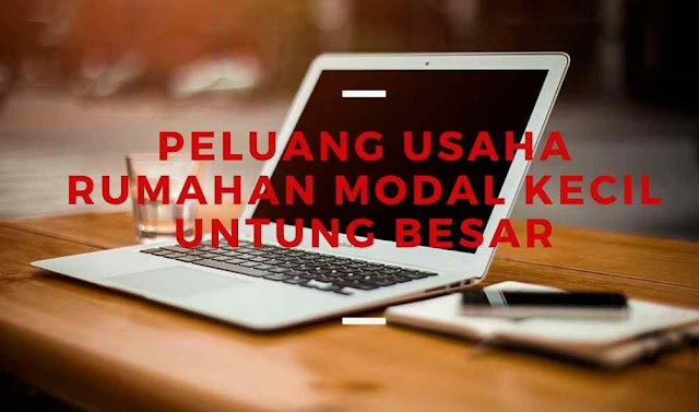 Peluang Usaha Rumahan Bisnis Online Modal Kecil Untung Besar