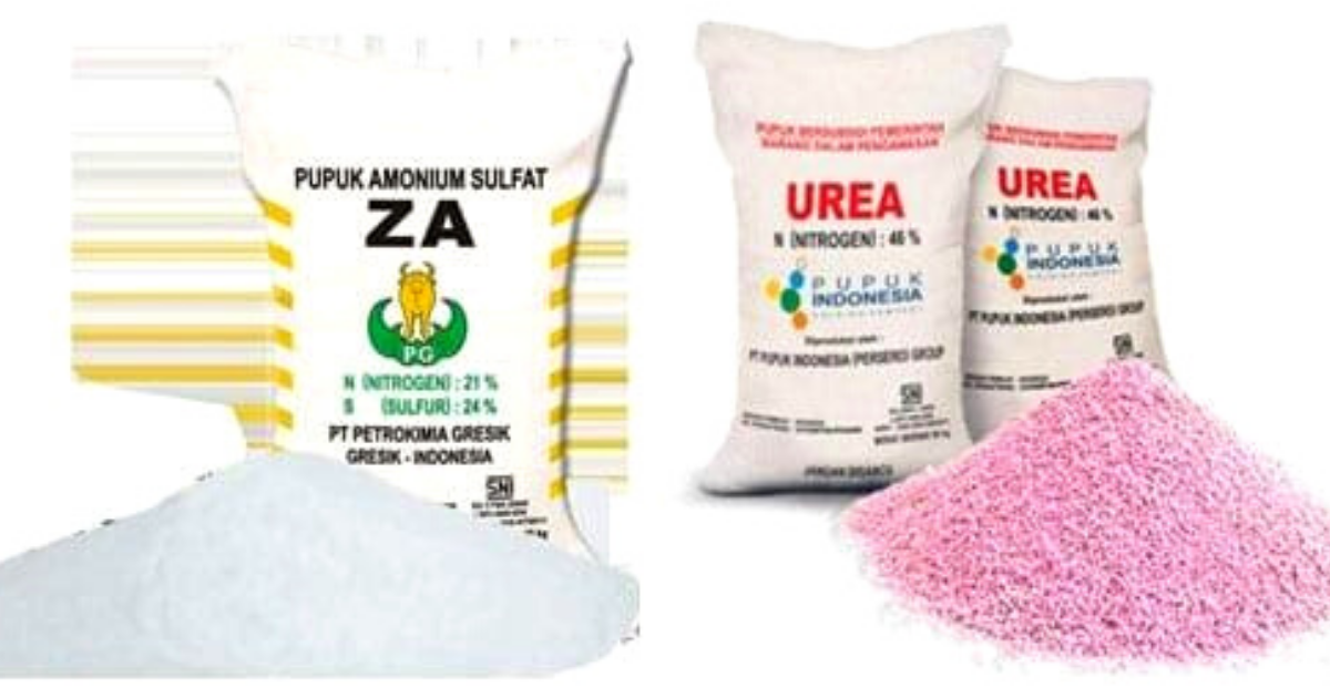 5 Jenis Pupuk NPK dan Fungsinya yang Perlu Kamu Tahu