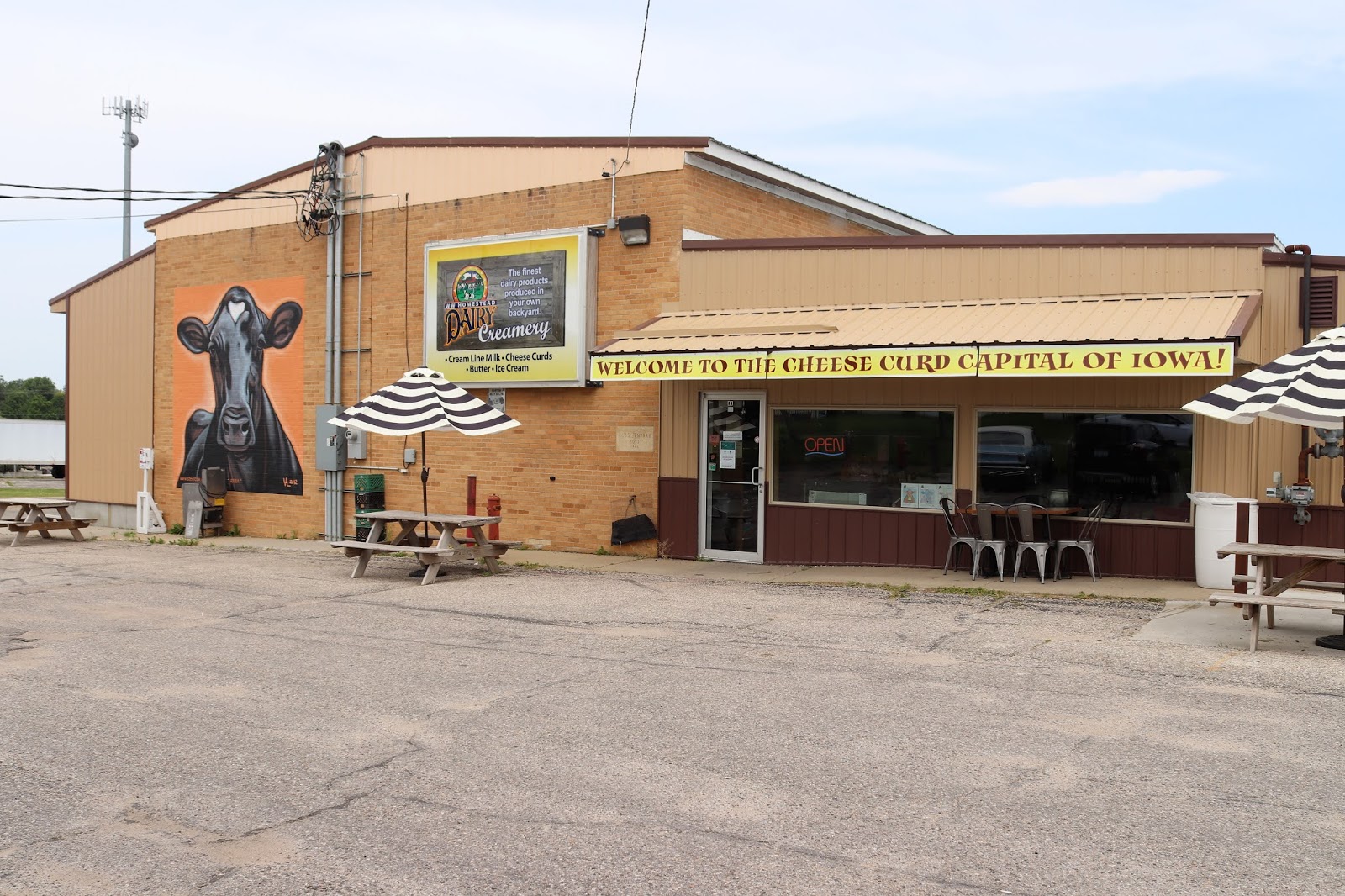 Corn, Beans, Pigs and Kids Iowa Ice Cream Road Trip at WW Homestead Dairy