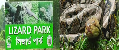 Images of Bangabandhu Safari Park Images of Bangabandhu Safari Park