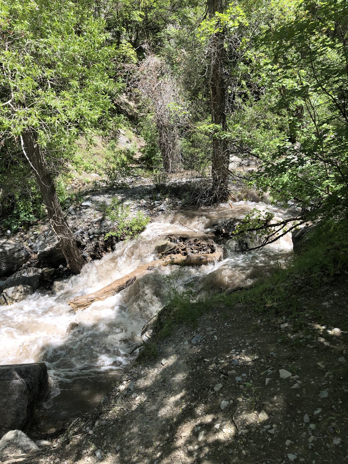Walking Arizona: Spring Runoff in Rock Canyon, Wasatch Front, Provo, Utah