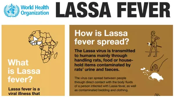  News, World, Africa, Diseased, Death, Hospital, Lassa Viral Fever Outbreak in Western Africa kills Dozens