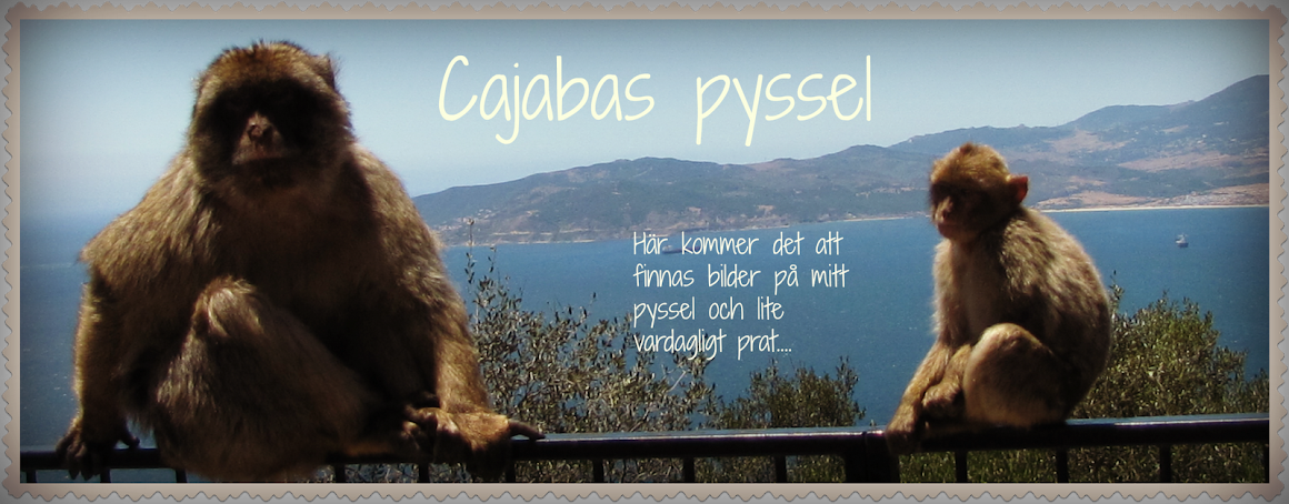 Cajabas pyssel