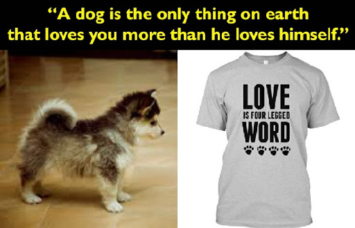 dog slogan t-shirts