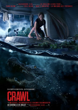 Crawl 2019 BRRip 720p Dual Audio