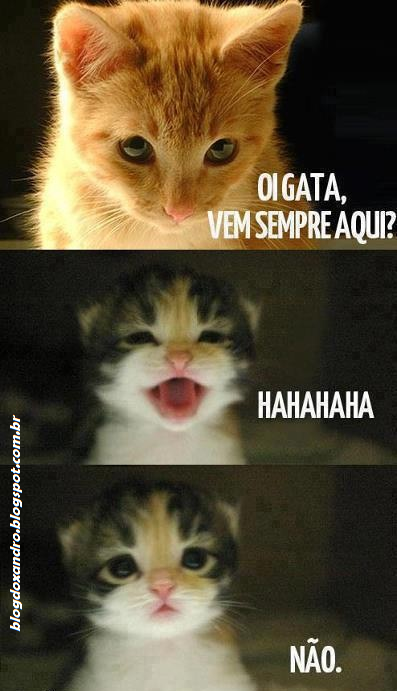 n%C3%A3o.jpg (397×691)