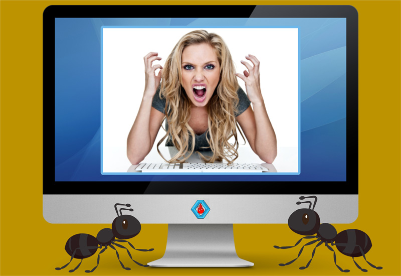 Cara Memasang Animasi Semut Pada Halaman Blog