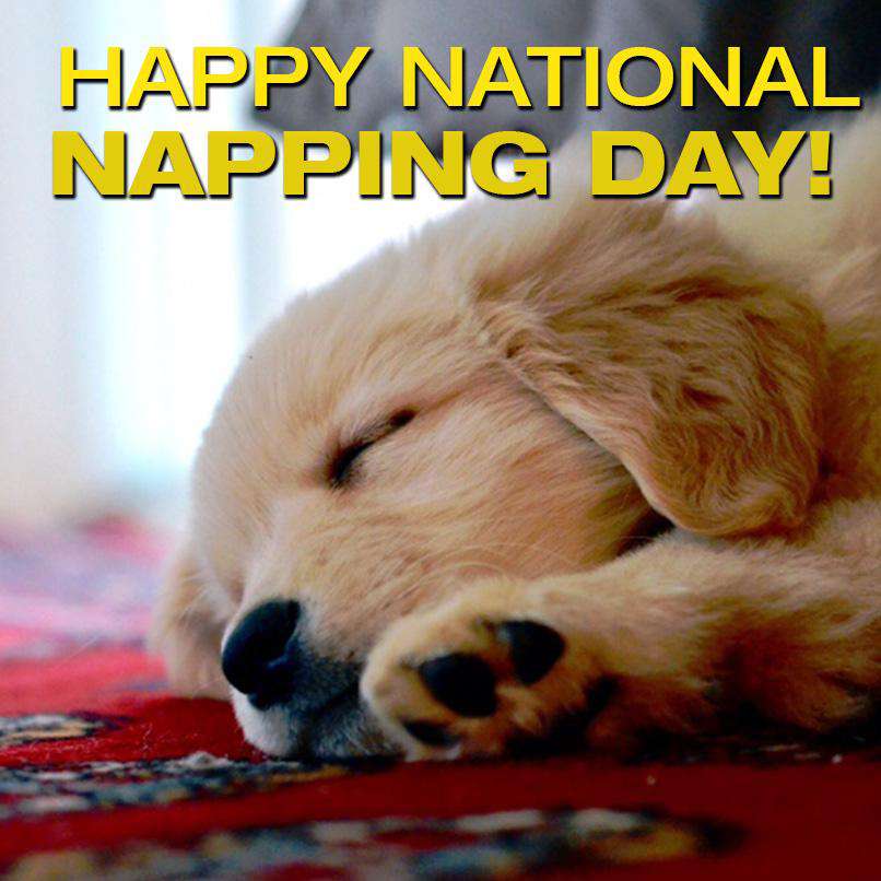 National Napping Day Wishes Images download National Napping Day Wishes Images download