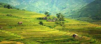 What were the effects of the Agricultural Revolution? What caused the agricultural revolution? What were the effects of the Agricultural Revolution? What caused the agricultural revolution?