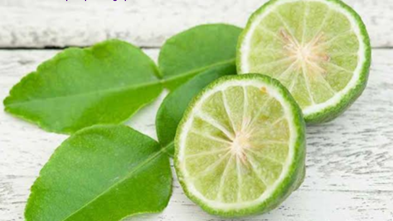 17 Makna Mimpi Tentang Buah Jeruk Purut Menurut Primbon Jawa Dan Islam Makna Mimpi 17 Makna Mimpi Tentang Buah Jeruk Purut Menurut Primbon Jawa Dan Islam Makna Mimpi