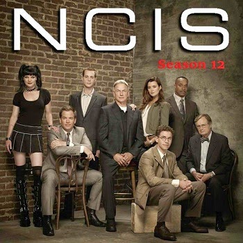 Ncis s12e01 720p hdtv nl subs - is339org