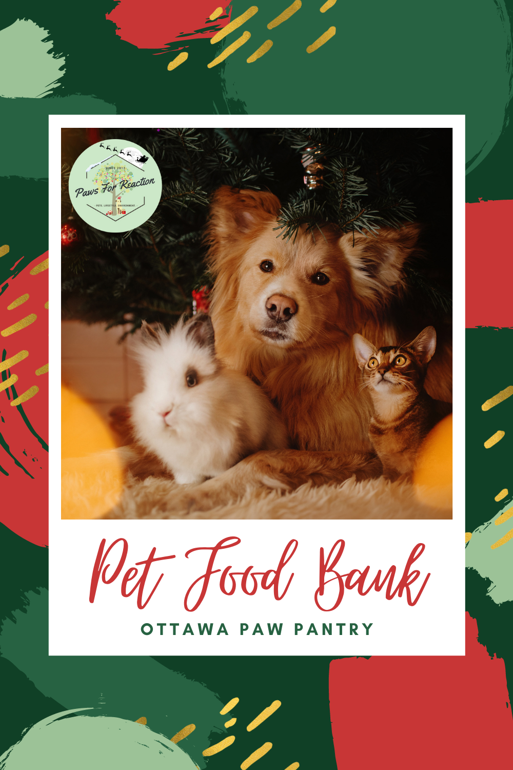 Ottawa's pet food bank Ottawa Paw Pantry provides food for fur