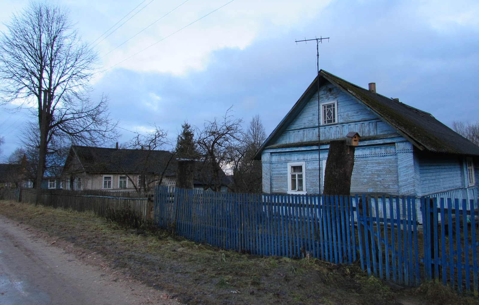 Порховский район д Бродовичи