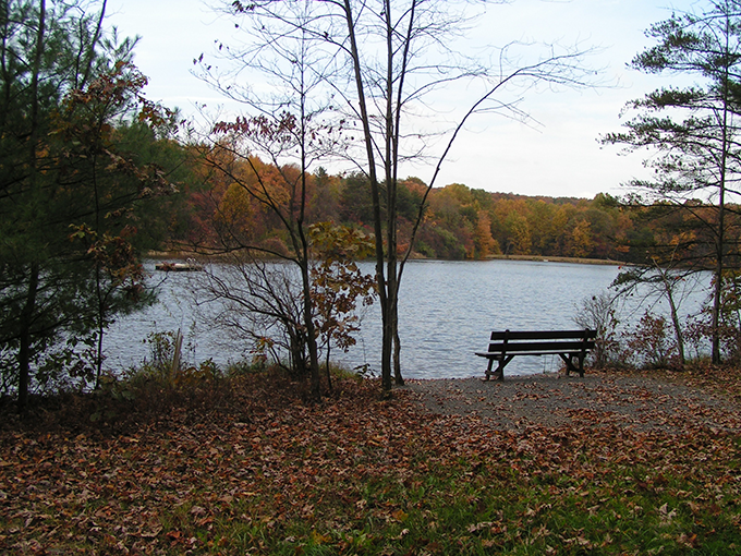 Passport America Site Seers Lake Heron Retreat, Liverpool, PA
