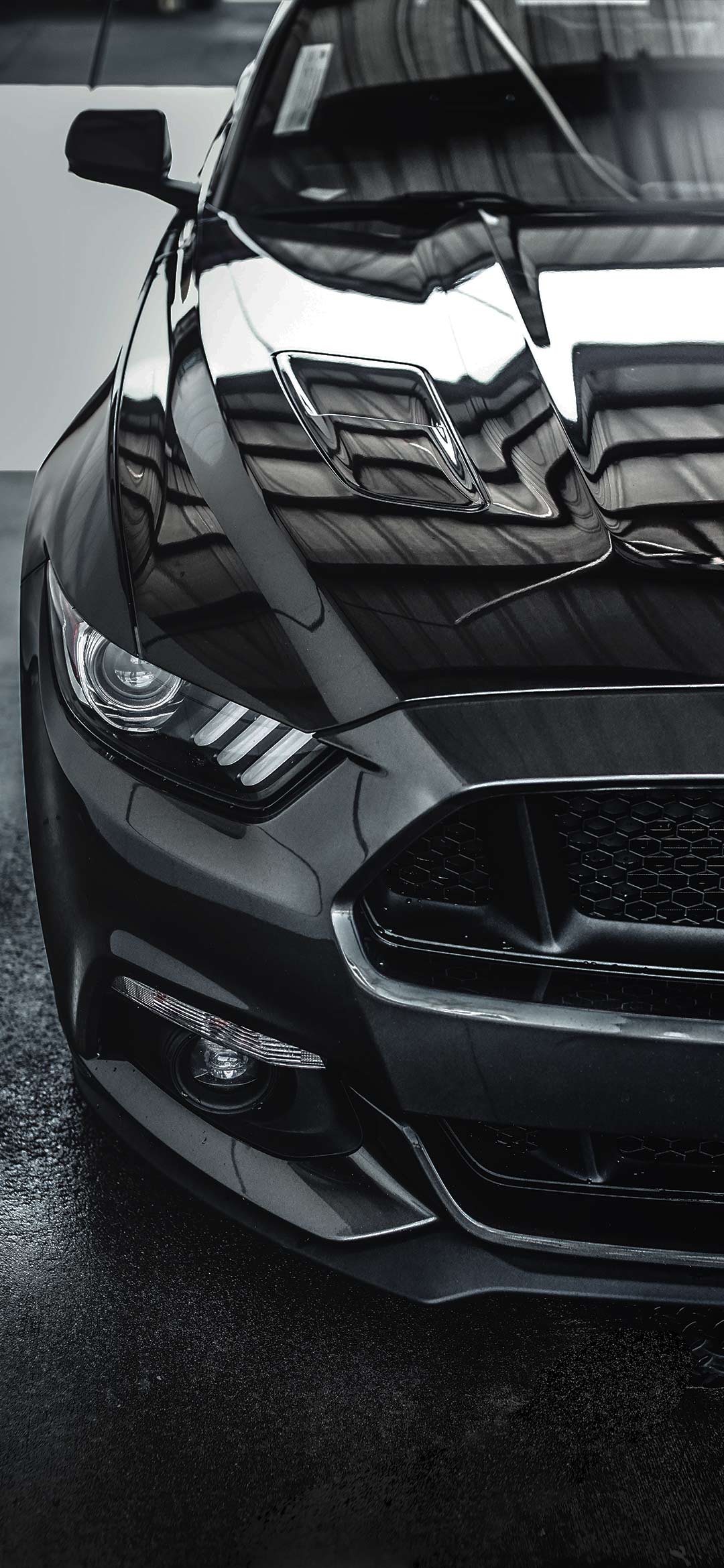 black-mustang-car-front-wallpaper