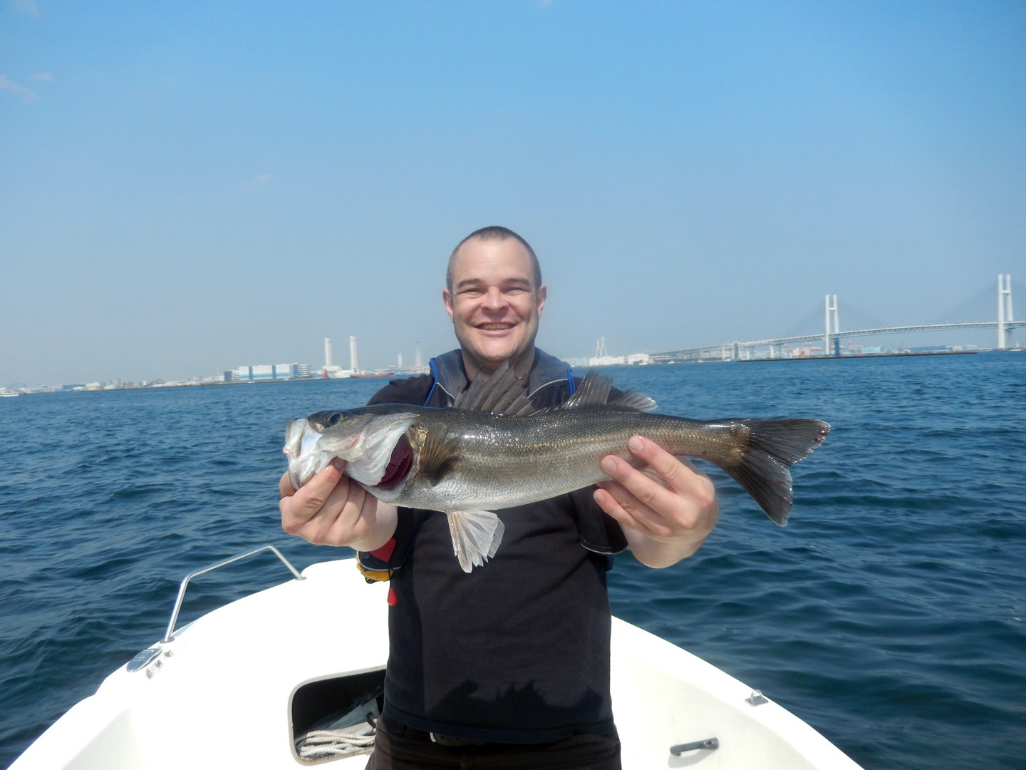 Suzuki (Japanese Seabass) Yokohama, April 3rd, 2014 catch some fish