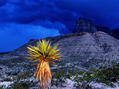 Mountain Pictures: Guadalupe Mountains National Park