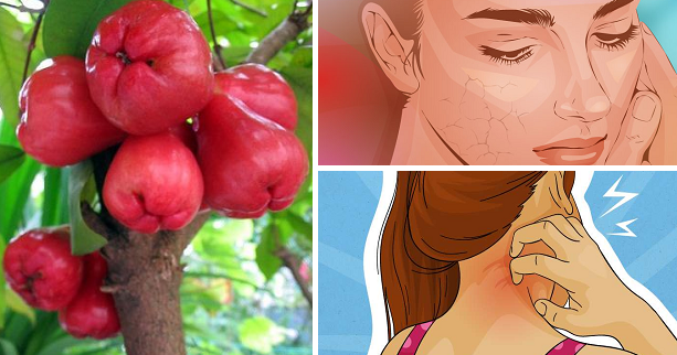 6 Healthy Benefits Ng Pagkain Ng Makopa