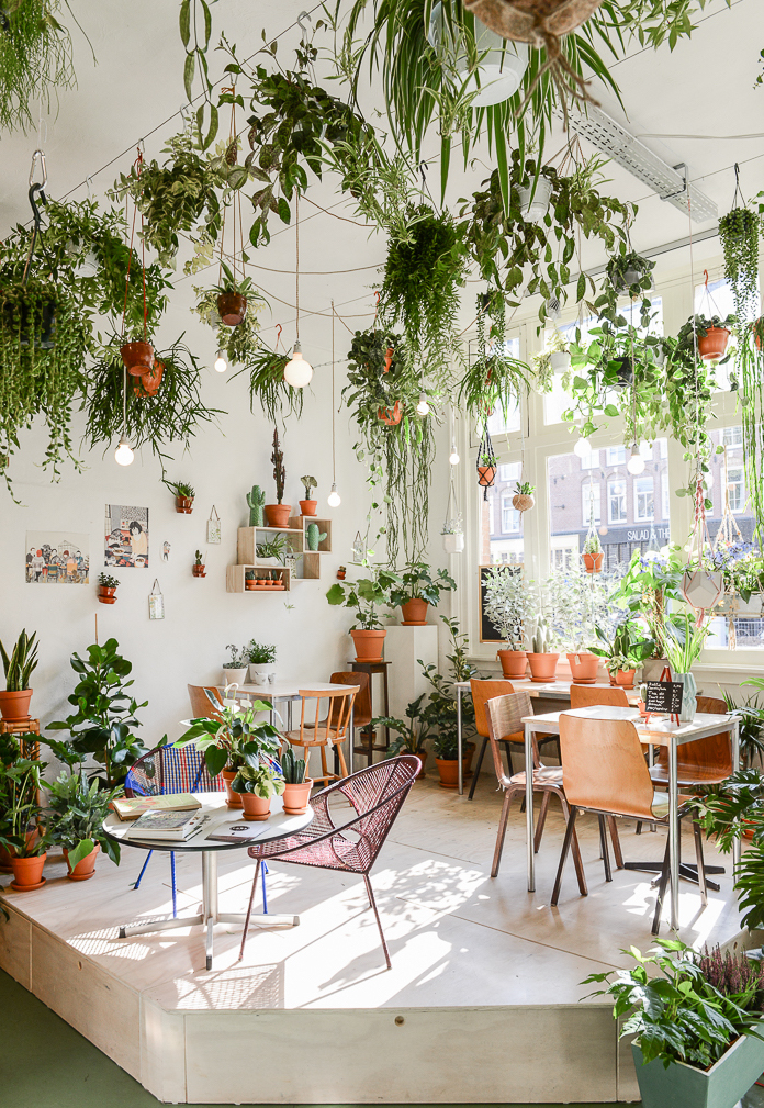 5 ways to save big with clean energy eco, green, home, solar, energy