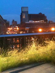 High Line Park at Dusk
