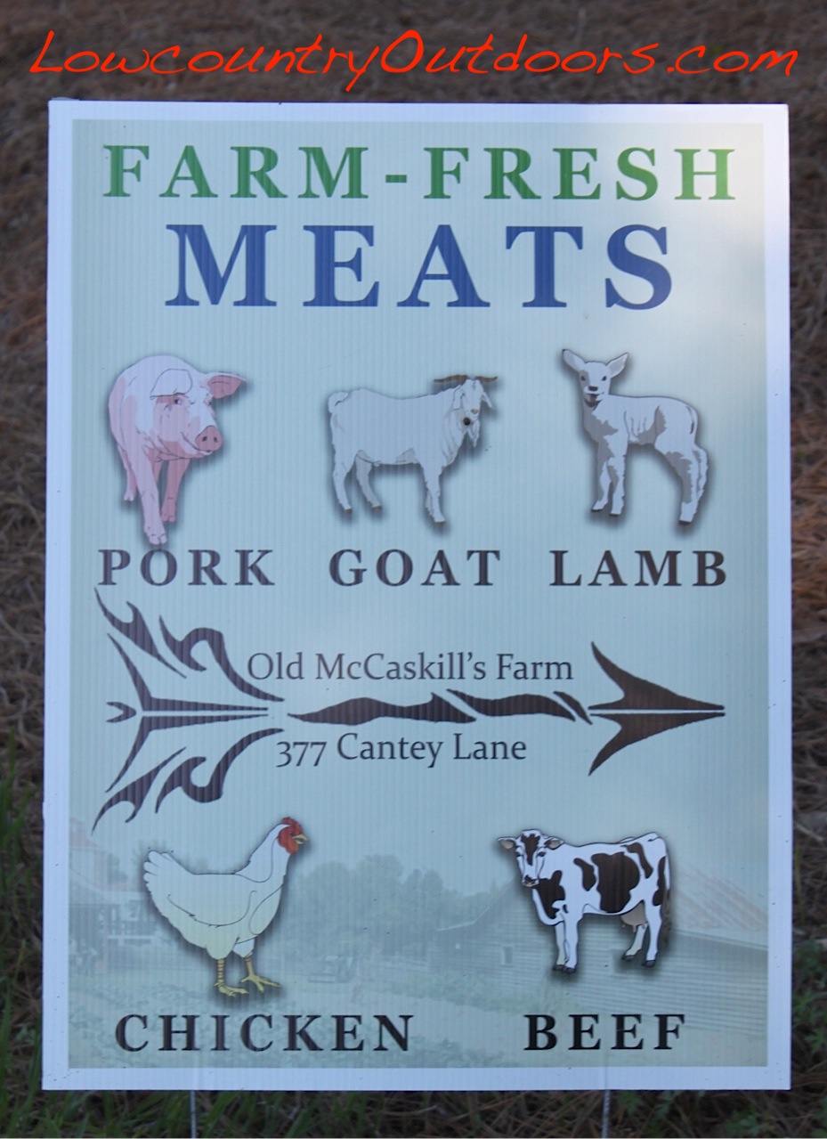 Lowcountry outdoors Old McCaskill Farm in Rembert Olde English District